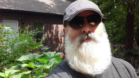 Yeard Update 7 Months