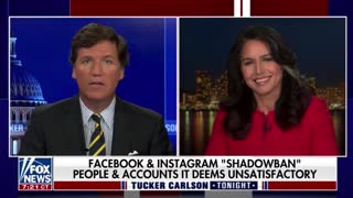 Tulsi Gabbard talks about how she is being shadowbanned on Instagram