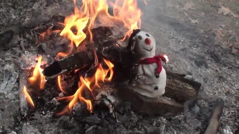burning beanie babies, toy burn