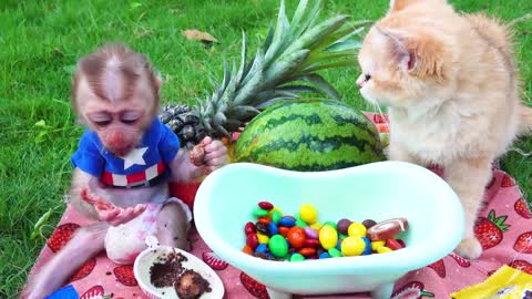 Satisfying video Cute Monkey animals - Zozo monkey Mixing Candy in BathTub & Magic Skittles
