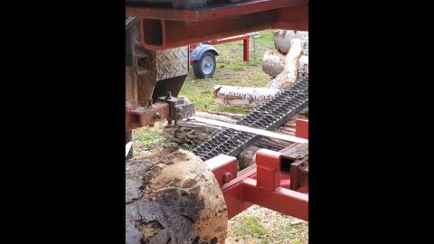 Milling Spruce