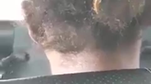 beetle walks quietly in a woman's hair