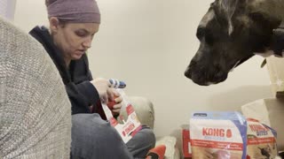 Service Dog: Another Un-Sponsored Kong Box!