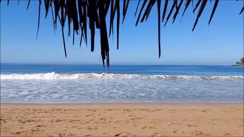 Viewing the Beach from My Perch in Chacala, Nayarit, Mexico