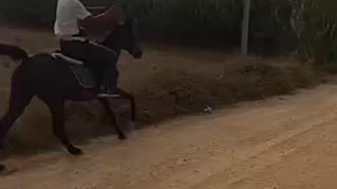#moto vs horse :)