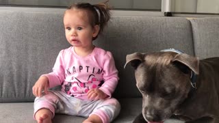 Perro y bebé tienen reacción similar al probar una lima