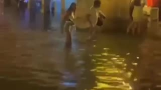 ¡Indignante! Caballos cocheros padecen bajo la lluvia en Cartagena