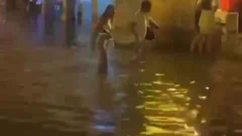 ¡Indignante! Caballos cocheros padecen bajo la lluvia en Cartagena