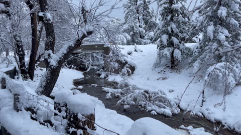 Miller Creek at Idylwild