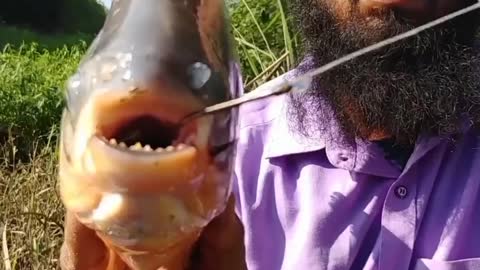 Most Satisfying Fishing Video #fish #fishing