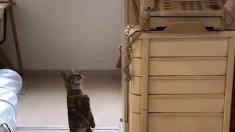 Kitten: I was shocked at that time!