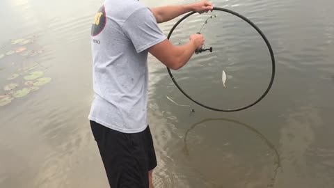 Giant fish jumps through a hoop