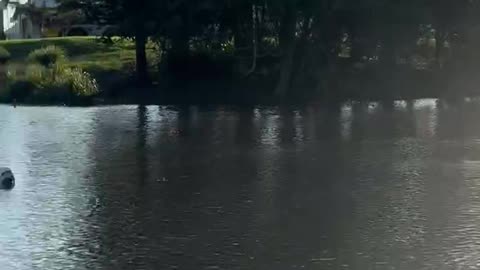 5 April 2022 Dave Oneegs jetski chat NSW Floods SES at work