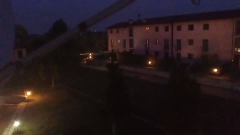 Bird melody during the lockdown in italy sunset