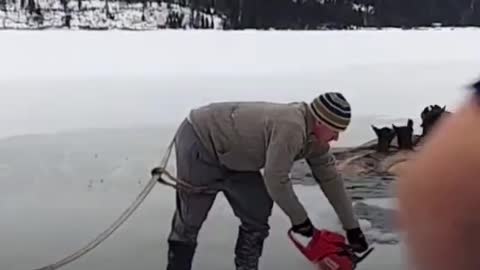 moments people helps stuck animals in ice lake