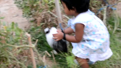 Two Bunnies