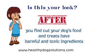 Toxic and Harmful Ingredients in Pet Food and Treats