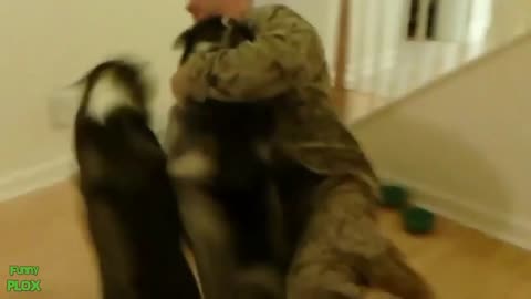 Dogs Welcoming Soldiers Home Compilation Part_3