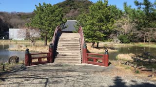 Japanese garden 日本庭園