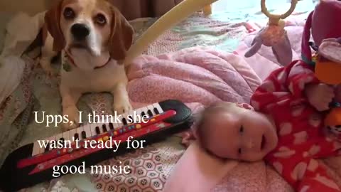 Dog Plays on Keyboard and Makes Newborn Baby Cry