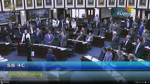 Groomers SCREAM as FL House passes Bill to strip Disney of special privilages.