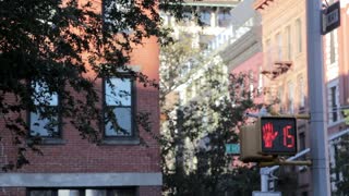 Traffic Light Pedestrian Turns Red Countdown