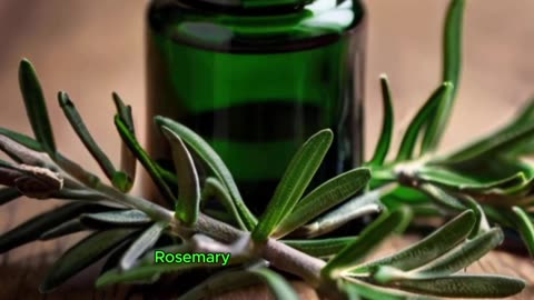 🌱Top 10 Most POWERFUL Medicinal Herbs