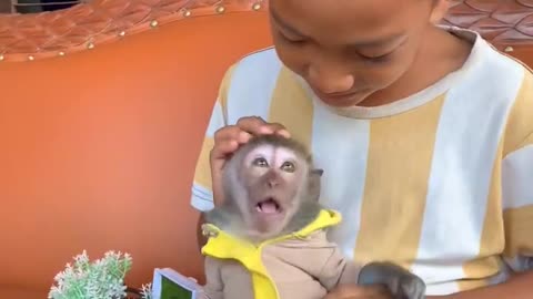 "Baby vs. Monkey: Who's the Real Clown in This Funny Video