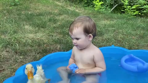 Funny video - Funny Baby Reaction to Duckling in the Pool