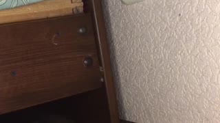 Wall Plug Monster Hides Under the Bed