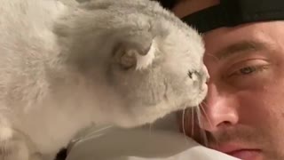 Cat Doesn't Like Being Licked