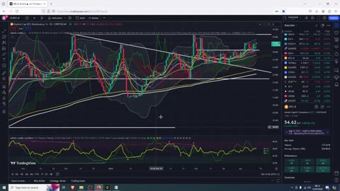 Altcoins before the halving