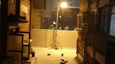 snow falling quietly in an alley
