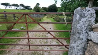 Go pro going through a gate shot