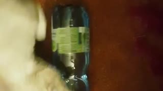 Caty Playing With Water Bottle