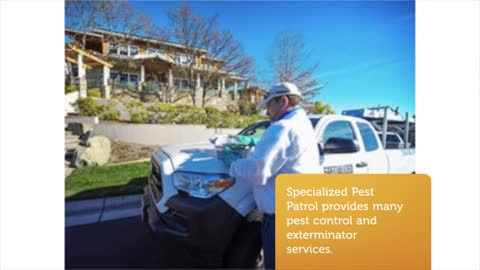 Specialized Pest Patrol - Best Pest Control Folsom CA
