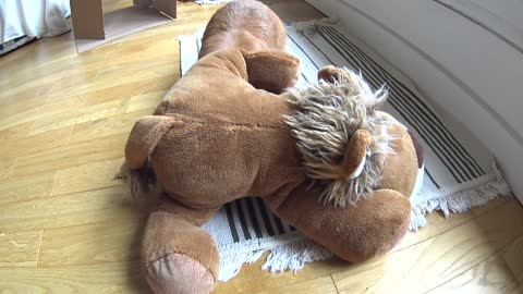 Super bunny hero frees his toy from a giant lion plush