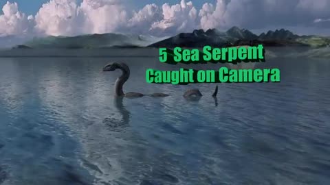 CAUGHT CAMERA (5 SEA SERPENT)