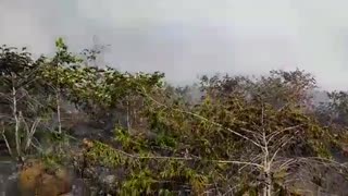 Incendió azotó zona forestal de la vereda Chocoa en Girón
