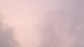 Very beautiful slowmo snowfall.