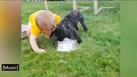 Dog and baby video
