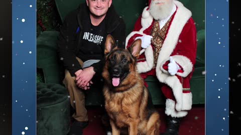 We Took a German Shepherd to Get Pictures With Santa
