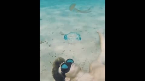 Jelly fish didn't expect it...