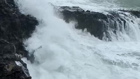 Jeju Island is a must-visit course. Come and see the coastal cliffs.