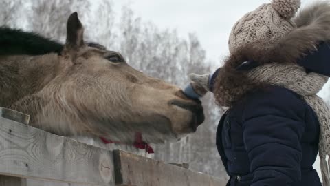 HORSE LOVE FOR A KID