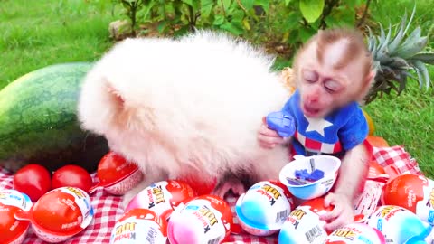 Satisfying video Cute Monkey animals - Zozo Monkey and Puppy Eat Suprise Eggs At the party
