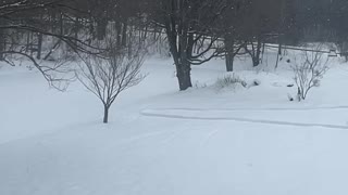 Lake Effect Snow