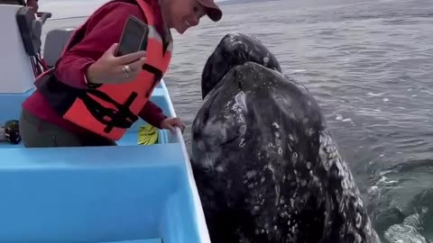 When a whale loves a Woman ....