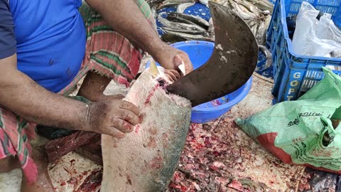 Big Chitol Mach Cuuting By Expert Cutter In Fish Market l Amazing Fish Cutting Skills