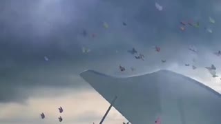 Very beautiful special effects, butterflies dancing to the music